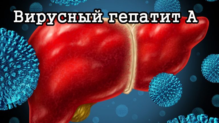 Меры профилактики гепатита А