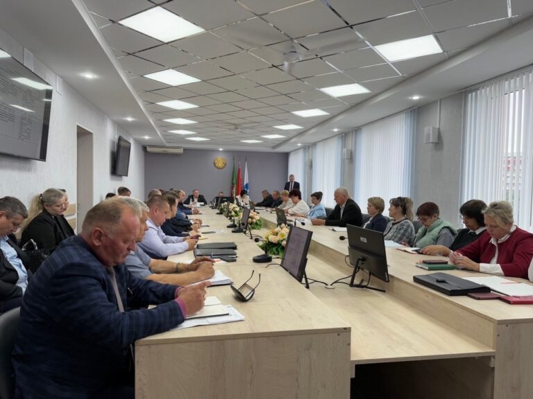 17 сессия Оршанского районного Совета депутатов 29 созыва