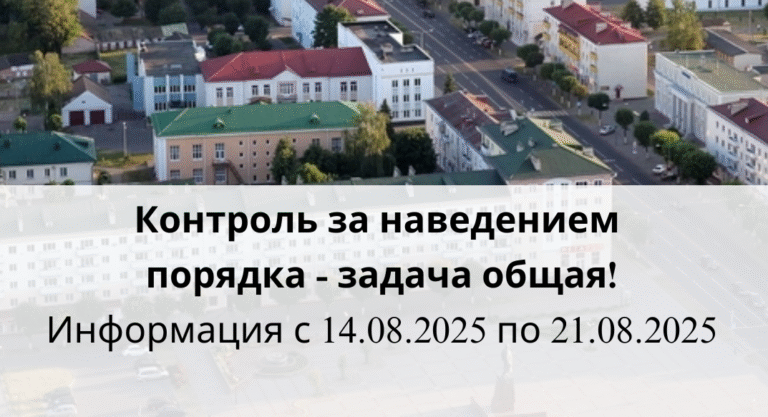 Контроль за наведением порядка — задача общая!