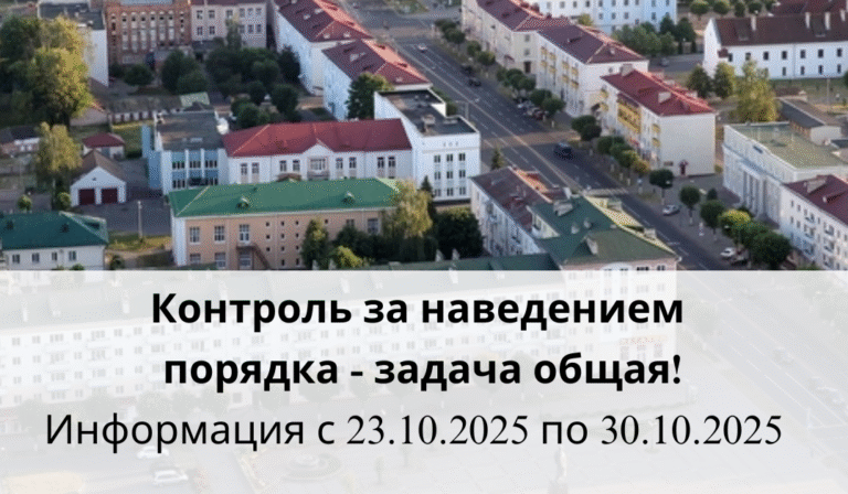 Контроль за наведением порядка — задача общая!